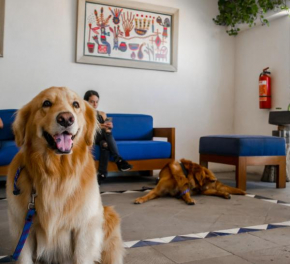 Puerto de Luna Pet Friendly and Family Suites